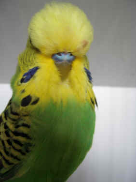 DSCN5741.JPG (1143532 bytes)